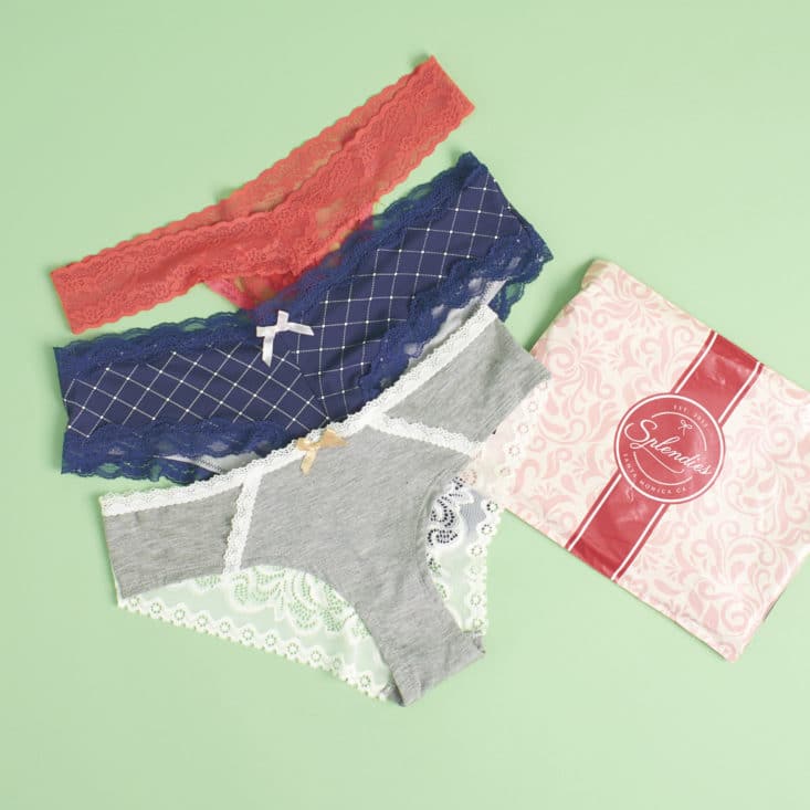 Check out my review of Splendies, the underwear subscription, for May 2017!