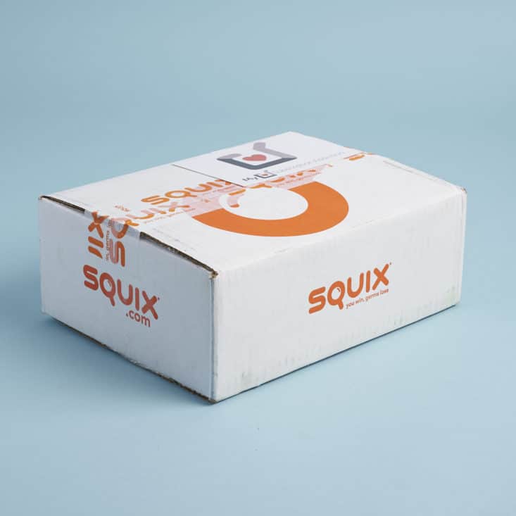 Check out my review for the new Squix Introductory box!