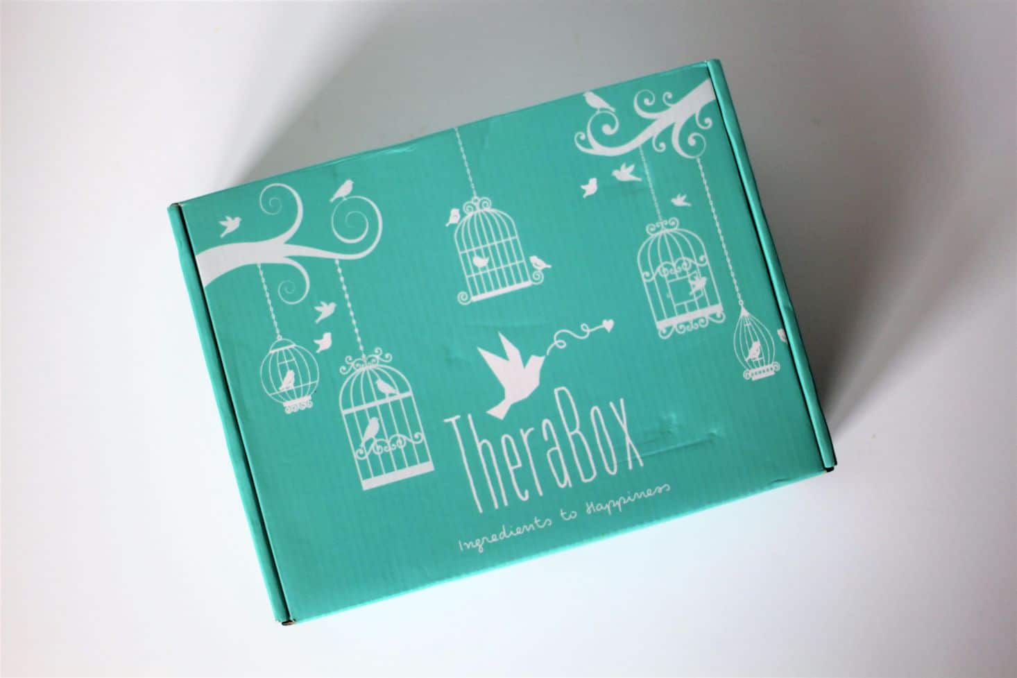 Therabox Subscription Box Review + Coupon – May 2017