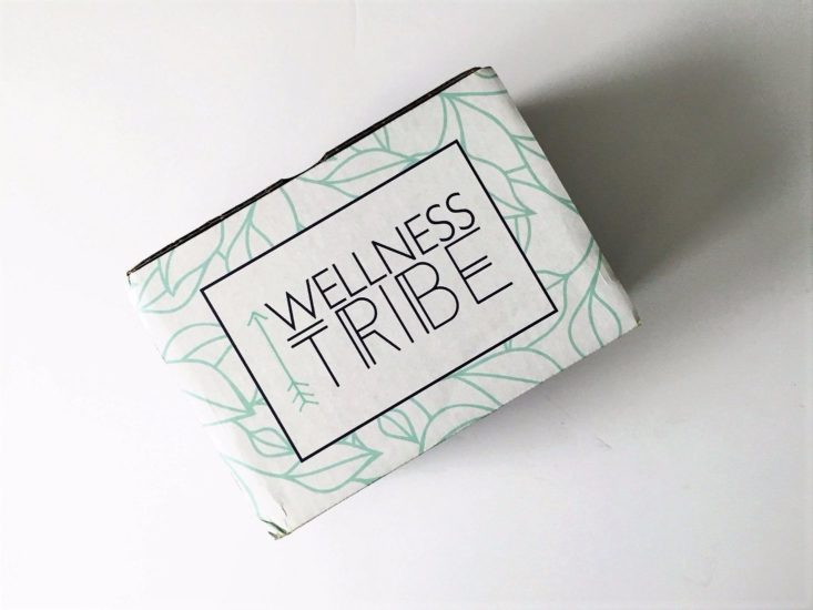 Wellness Tribe Energy June 2017