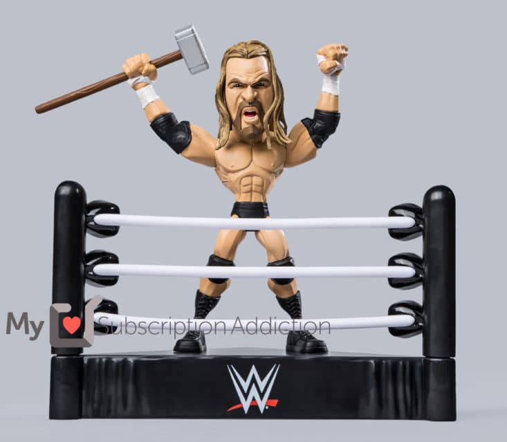 WWE Slam Crate - June 2017