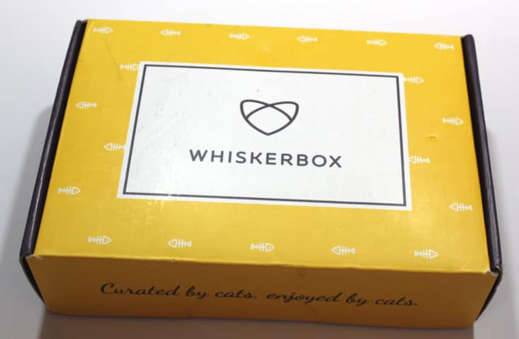 Whiskerbox June 2017 Cat Subscription Box