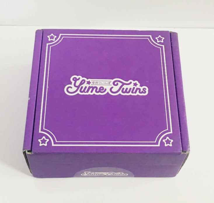 YumeTwins Happy Birthday - June 2017 Box