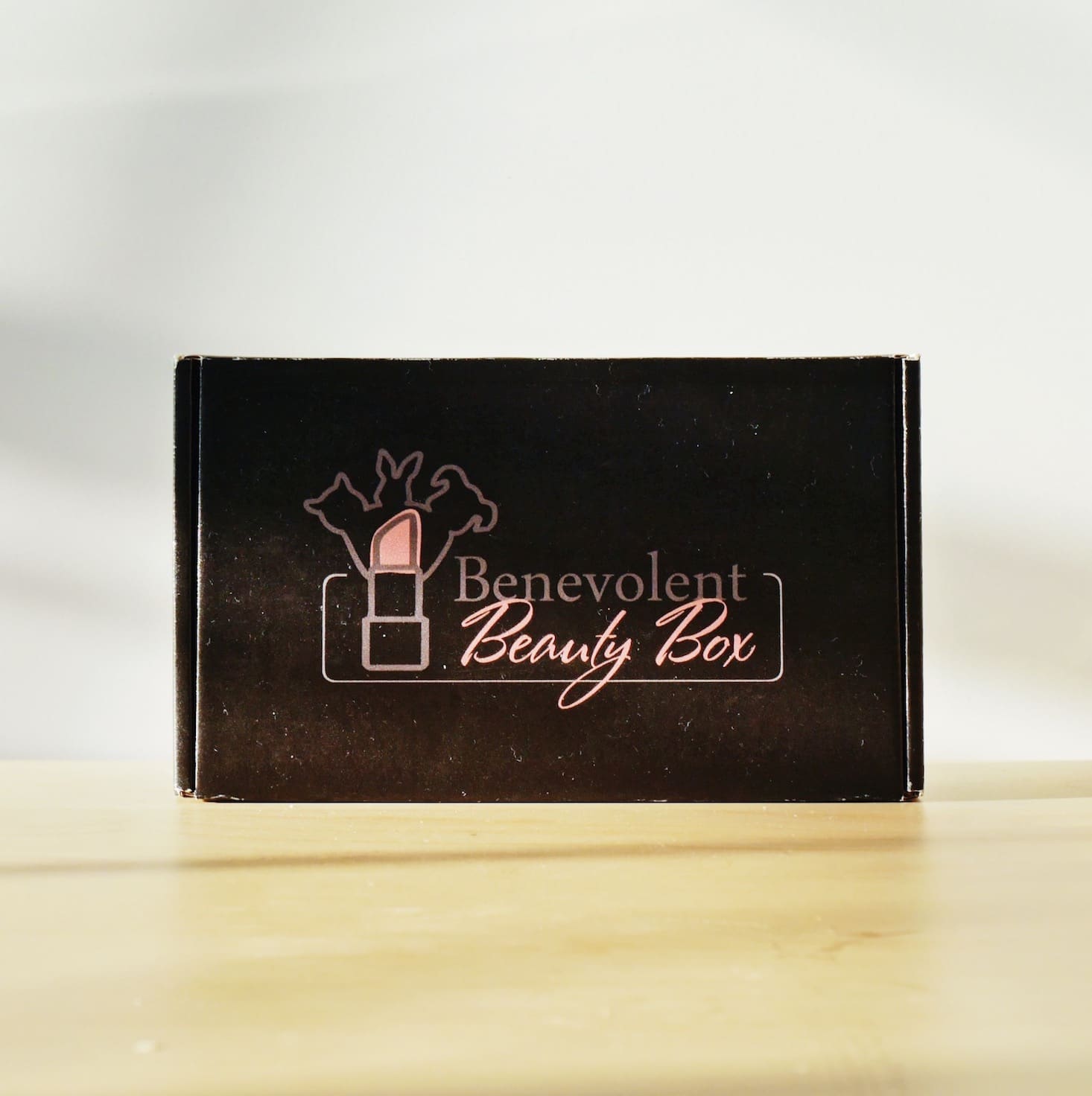 Benevolent Beauty Box Review + Coupon – July 2017