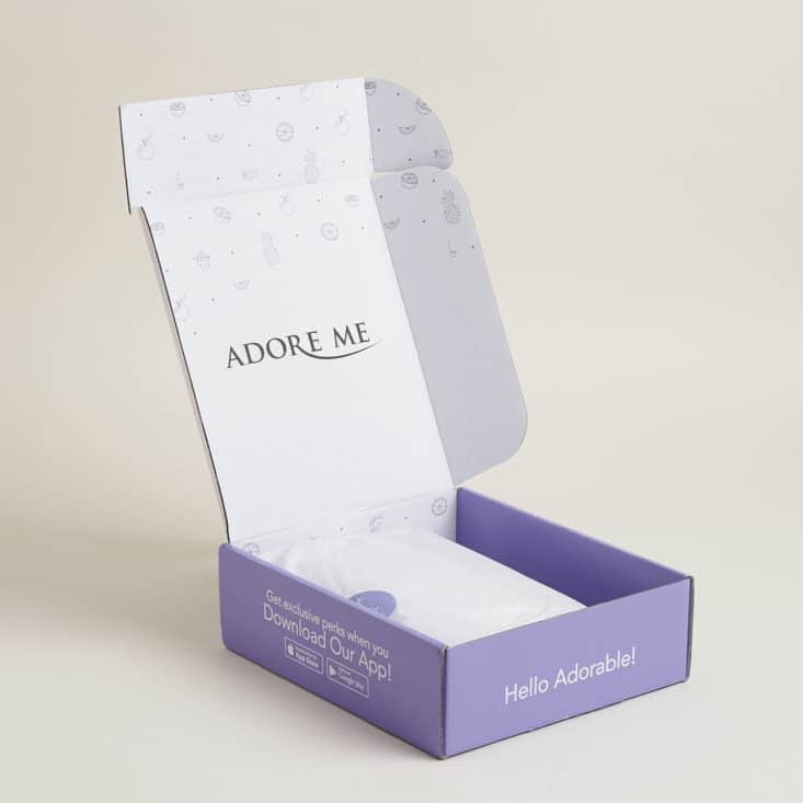 Adore Me Lingerie July 2017 Subscription Box