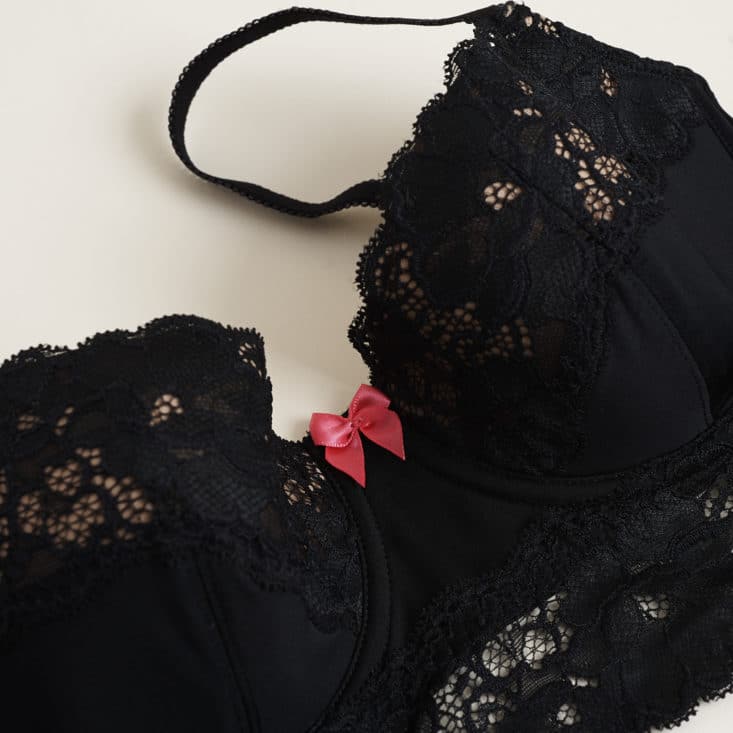 Adore Me Lingerie July 2017 Subscription Box