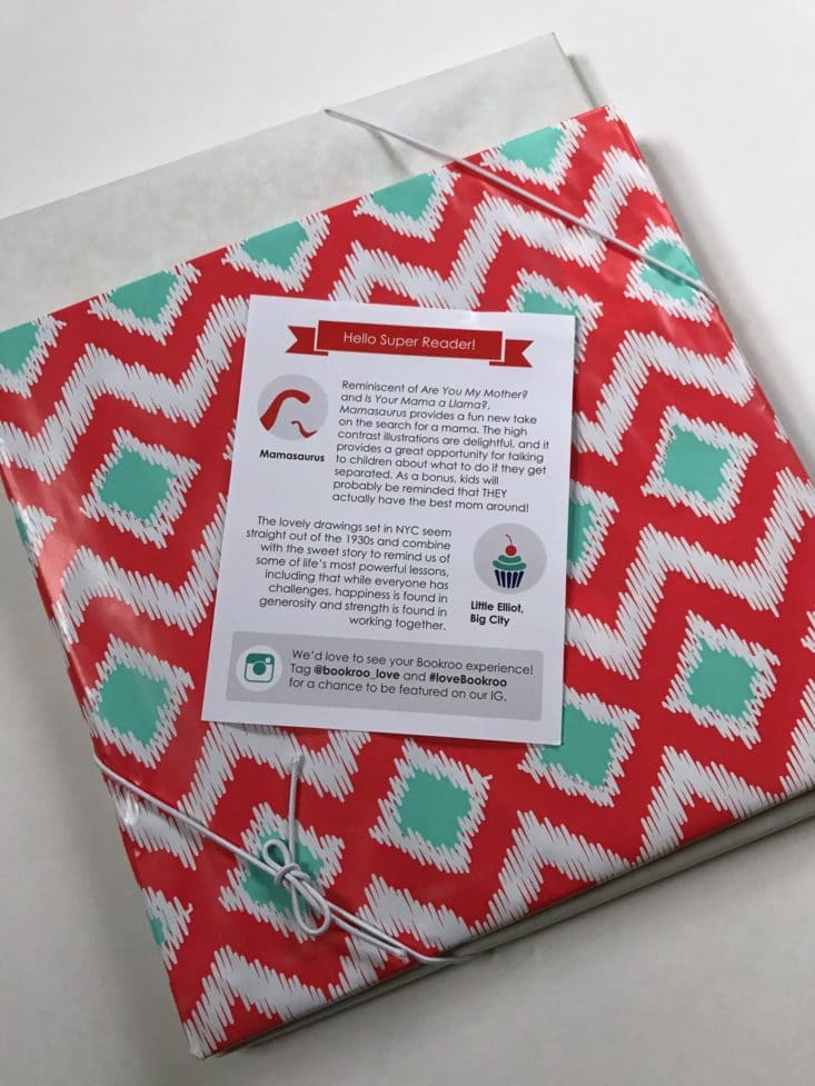 Bookroo July 2017 Kids Book Subscription Box