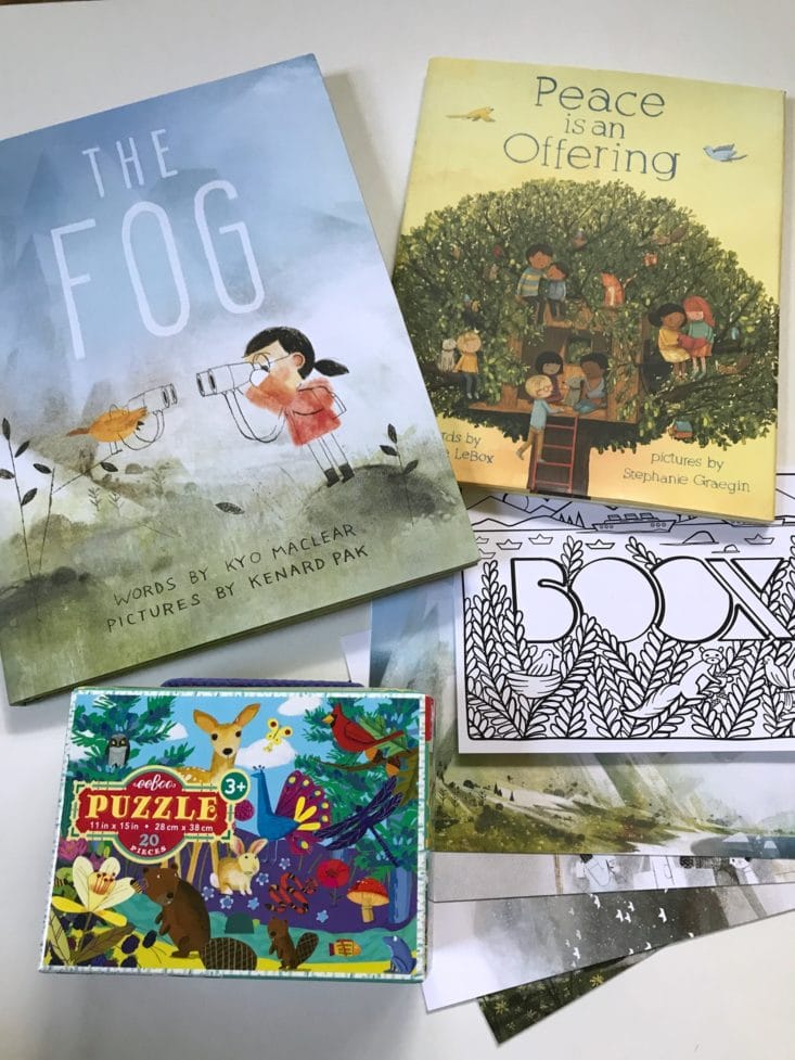 Boox July 2017 Kid's Book Subscription Box by Powells