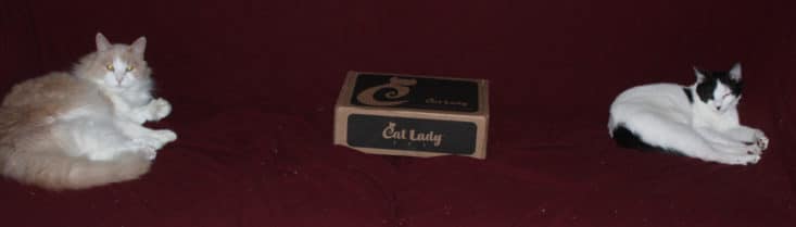 See what's inside the July 2017 Cat Lady box!