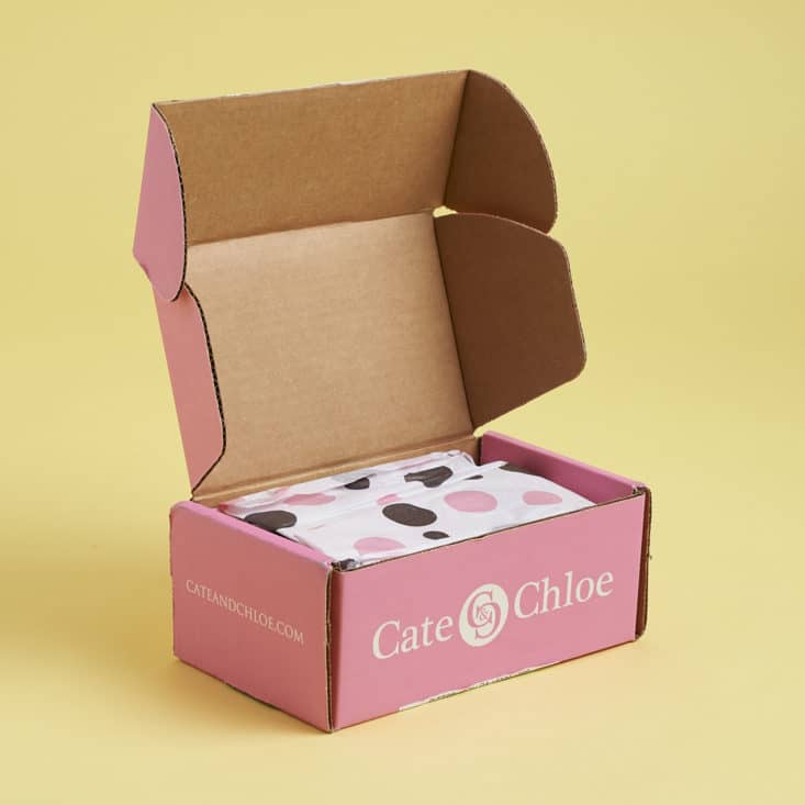 Check out my review of the June 2017 Cate & Chloe jewelry box!