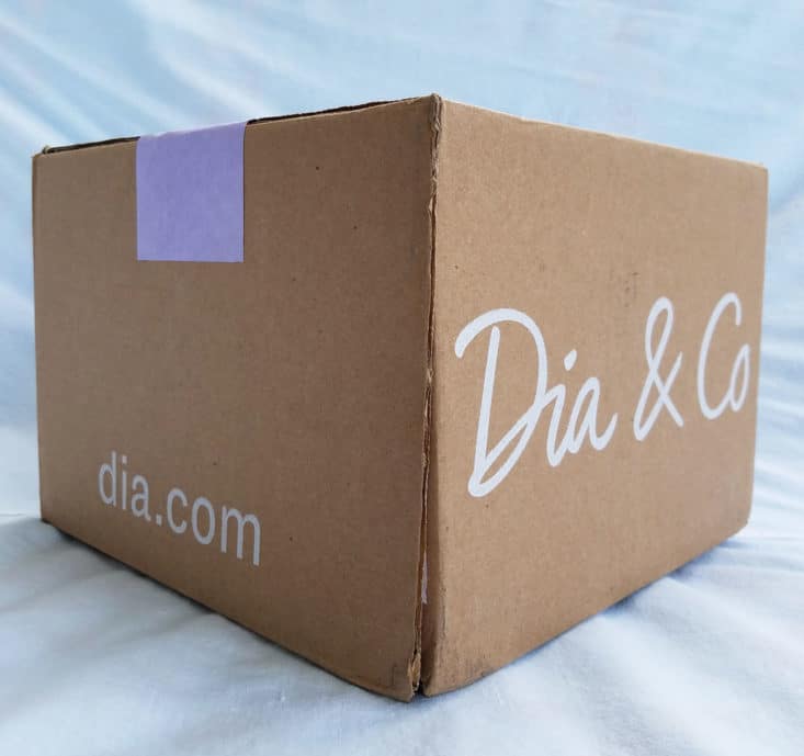 Dia and Co July 2017 Box Women's Plus Clothing Subscription Box