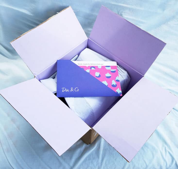 Dia and Co July 2017 Box Women's Plus Clothing Subscription Box