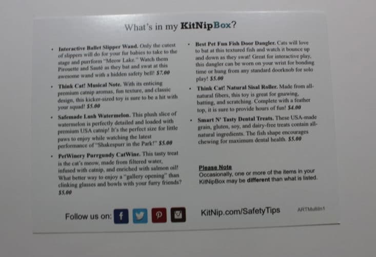 KitNipBox July 2017 Cat Subscription Box
