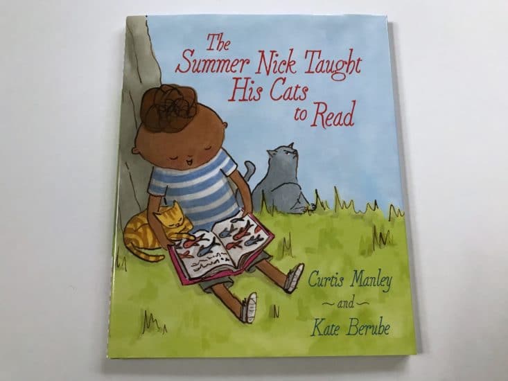 Lillypost July 2017 Kid's Picture Book Subscription Box