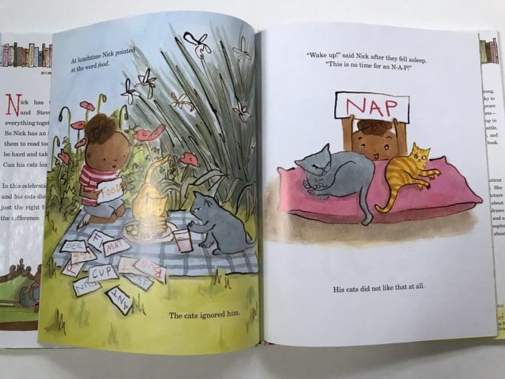 Lillypost July 2017 Kid's Picture Book Subscription Box