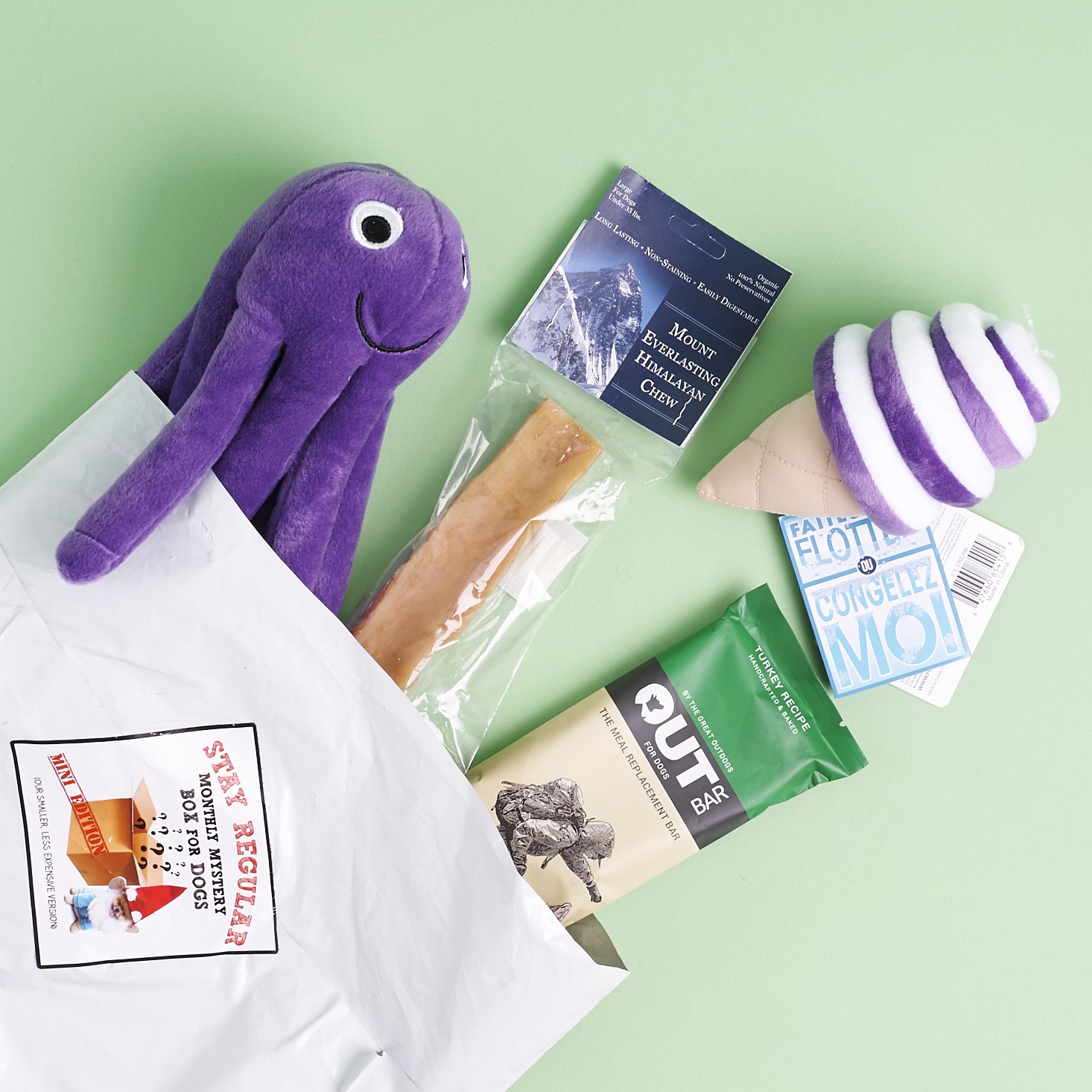 Mini Monthly Mystery Box For Dogs Subscription Review – July 2017