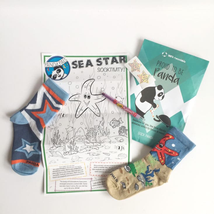 Panda Pals - Seas and Stars - July 2017 Kid's Sock Subscription Box