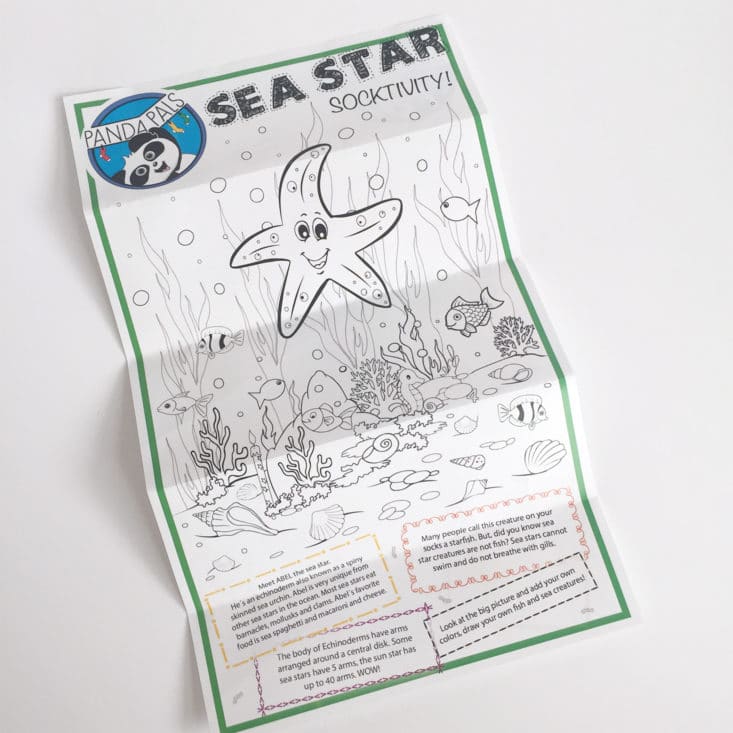 Panda Pals - Seas and Stars - July 2017 Kid's Sock Subscription Box