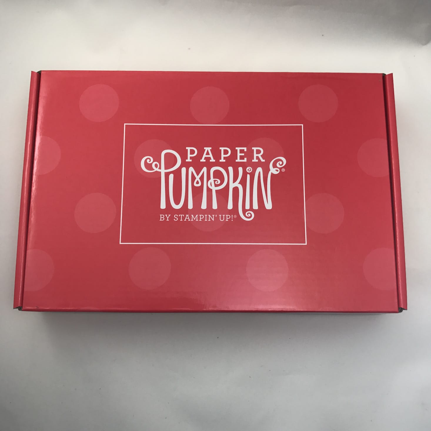 Paper Pumpkin Subscription Box Review – July 2017