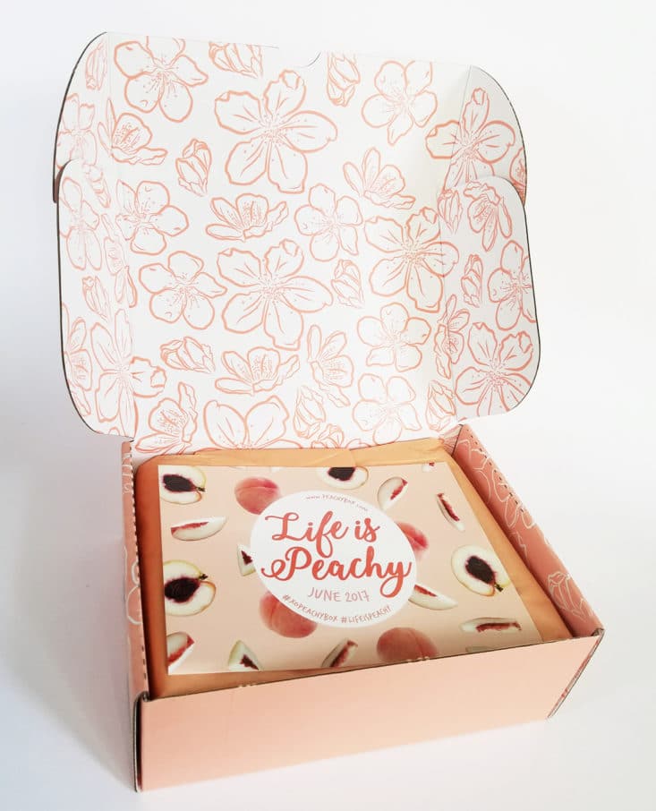 Check out my review of Peachy Box for June 2017!