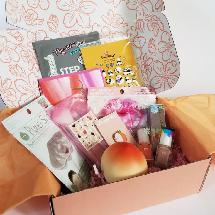 Check out my review of Peachy Box for June 2017!