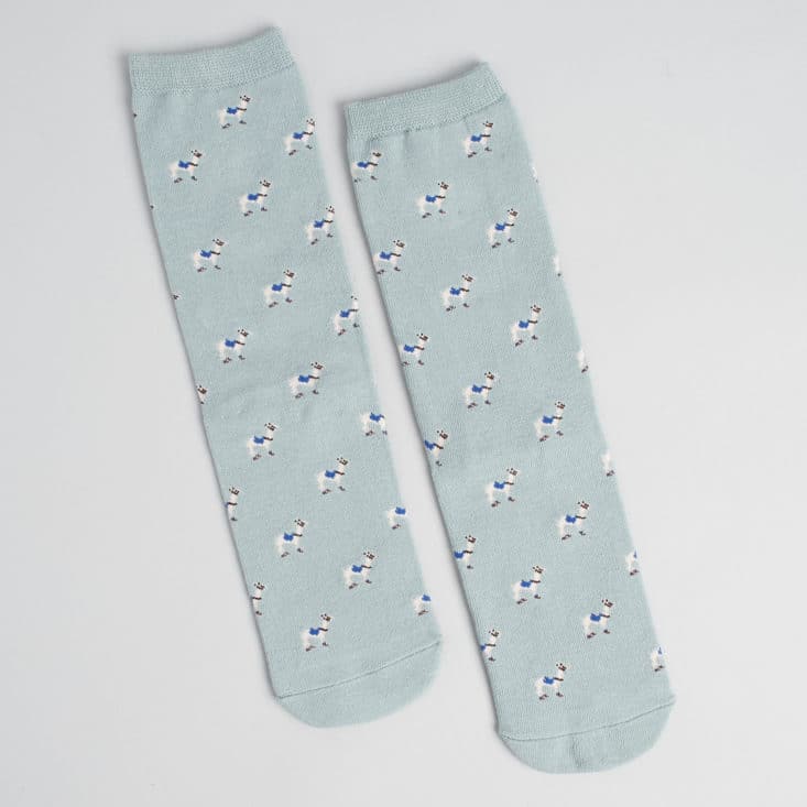 Say It With A Sock Womens July 2017 - Richer Poorer Socks