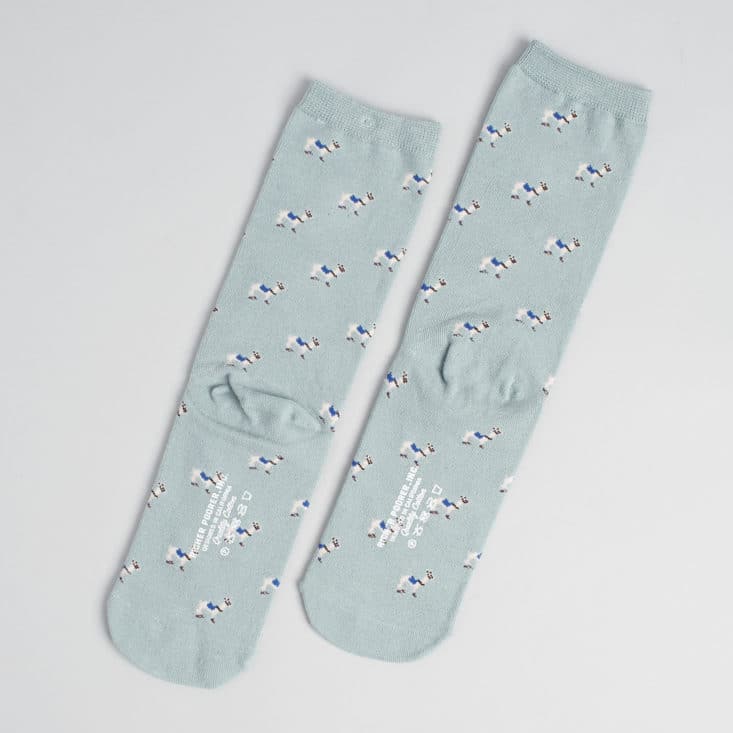 Say It With A Sock Womens July 2017 - Richer Poorer Socks