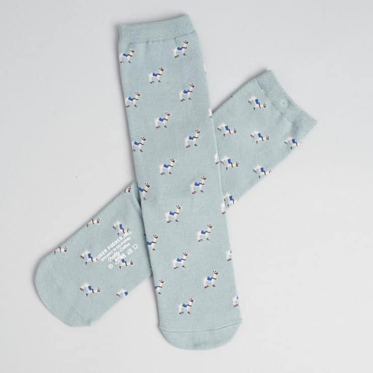 Say It With A Sock Womens July 2017 - Richer Poorer Socks