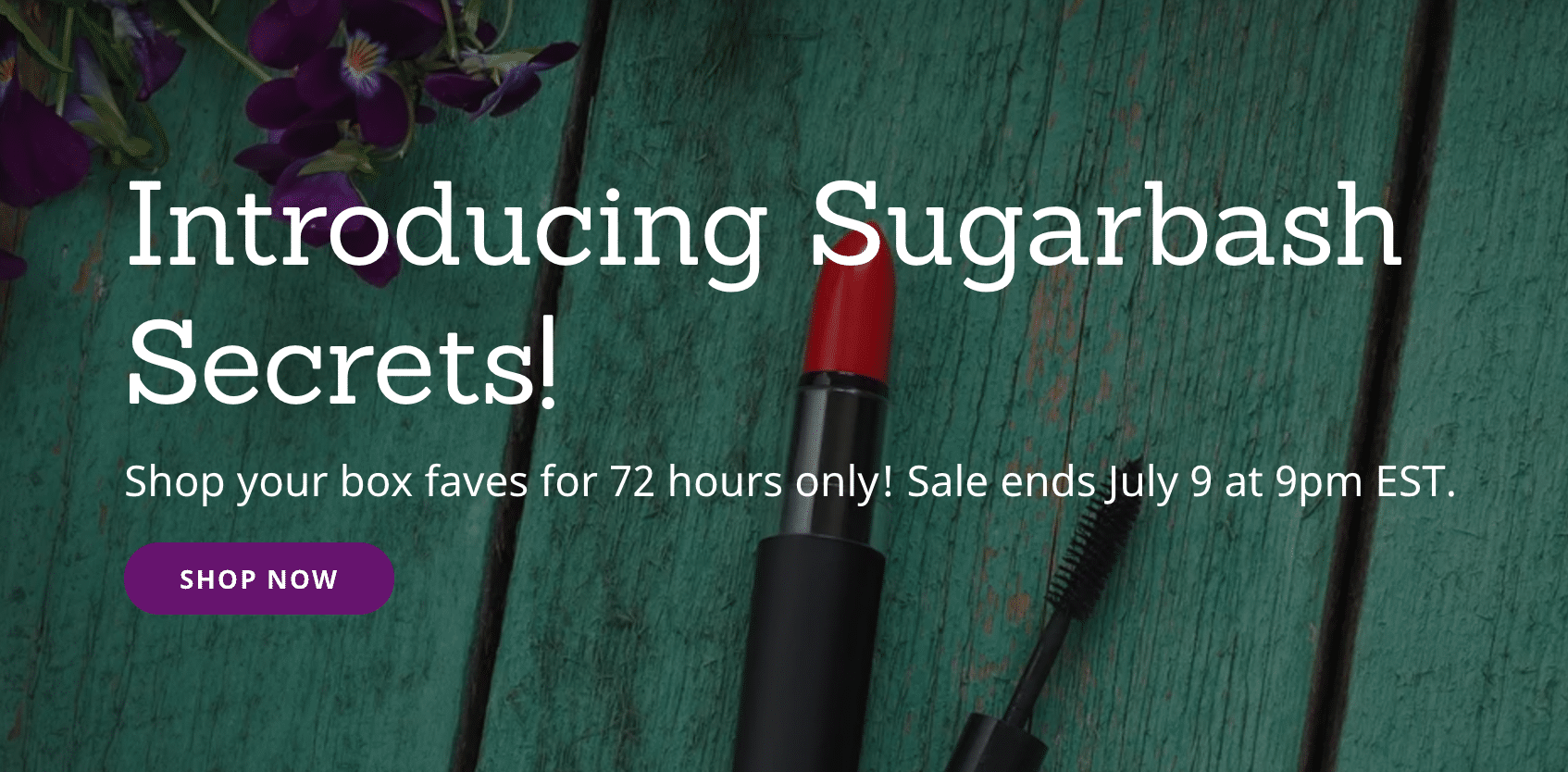 Now through Monday – Sugarbash Secret Sale!