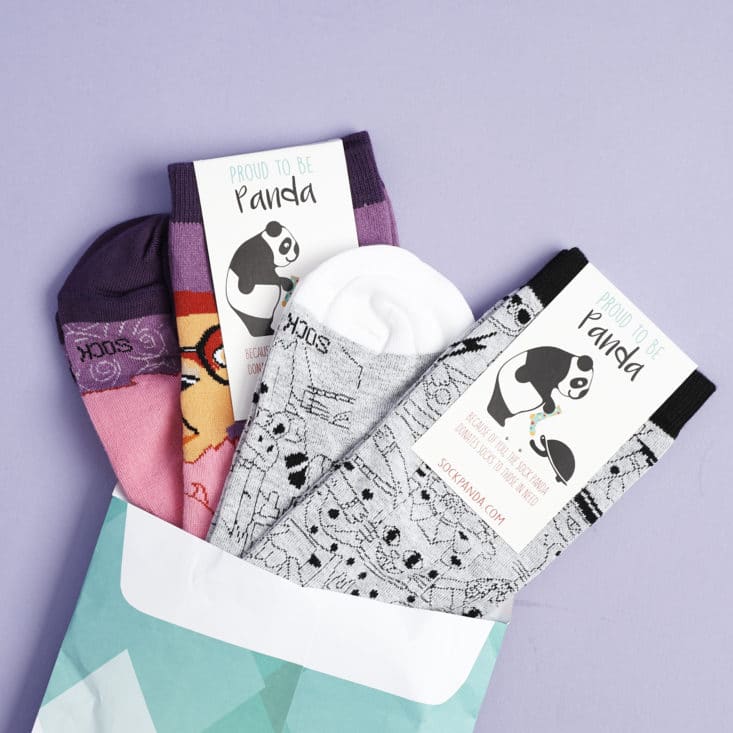 Check out the cute, quirky socks in my July 2017 Sock Panda women's subscription!