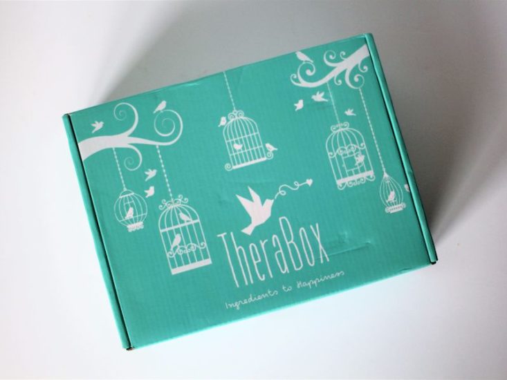 Therabox June 2017 Box
