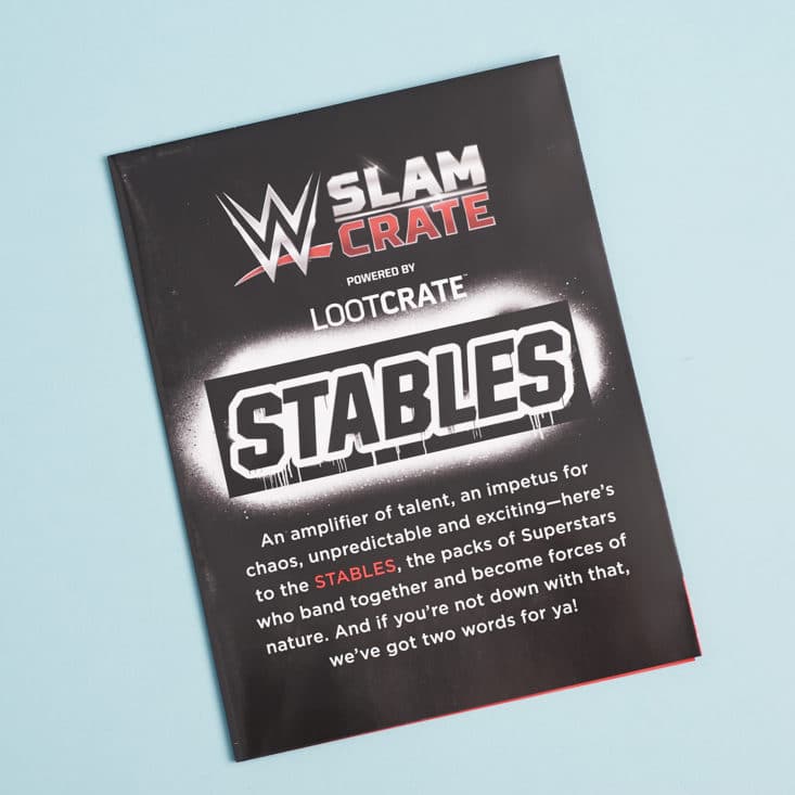 WWE Slam Crate Stables June 2017 - 0009