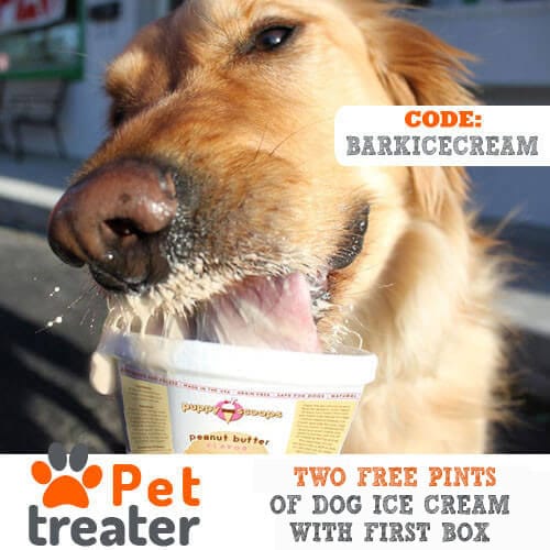 Pet Treater Coupon – Two Free Pints of Dog Ice Cream With Subscription