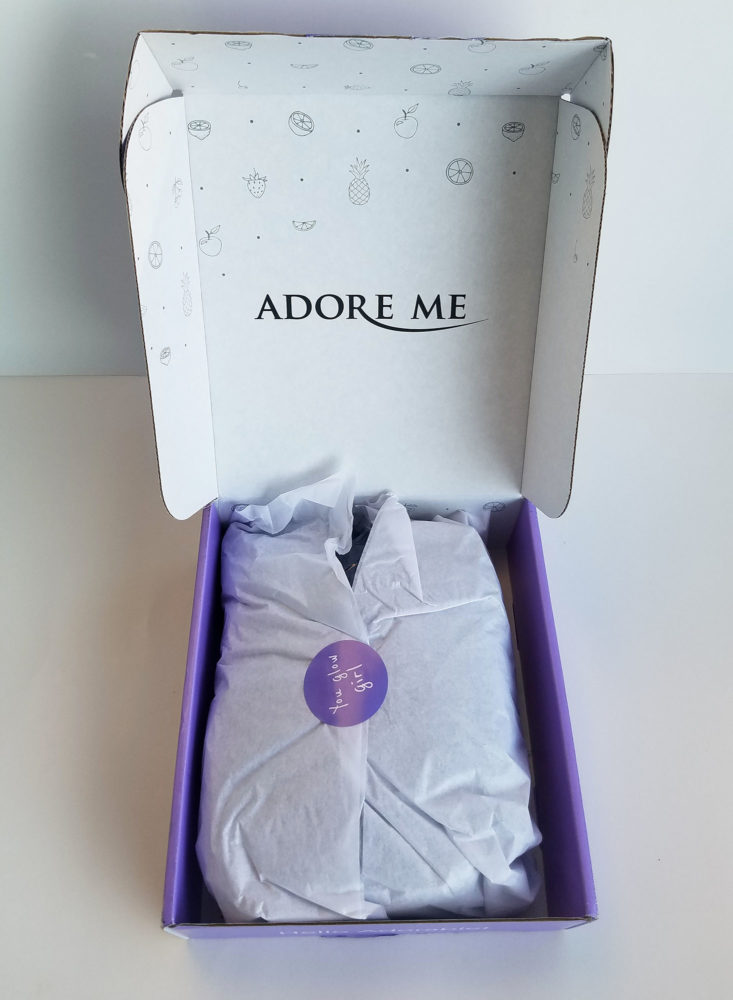 Adore Me August 2017 Women's Intimates Subscription Box