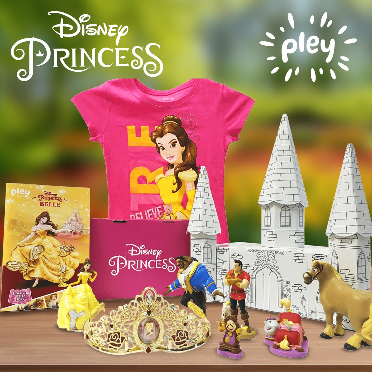 Disney Princess PleyBox Coupon – 25% Off Your First Box!