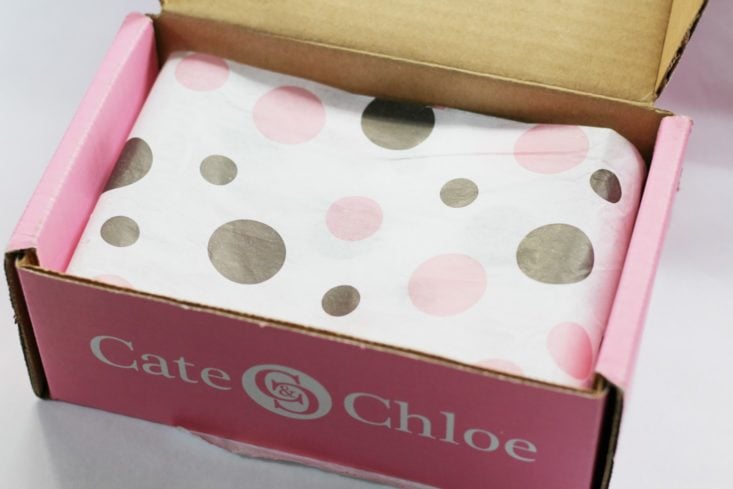 Cate and Chloe August 2017 Women's Jewelry Subscription Box