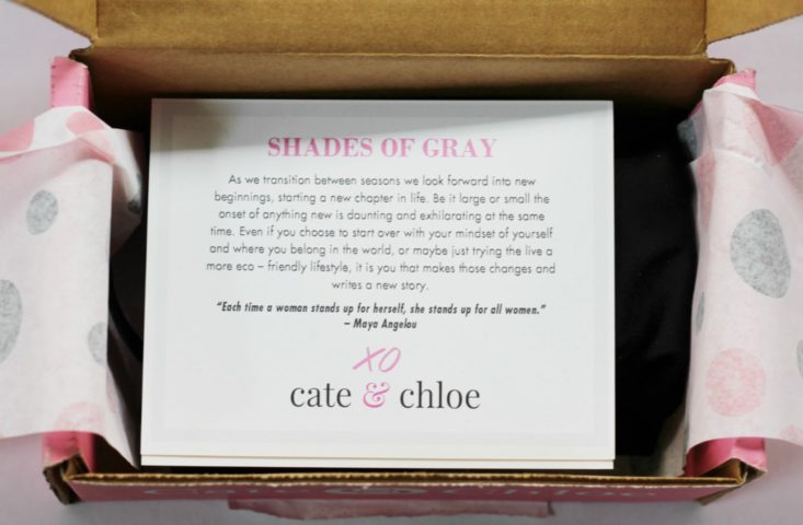 Cate and Chloe August 2017 Women's Jewelry Subscription Box