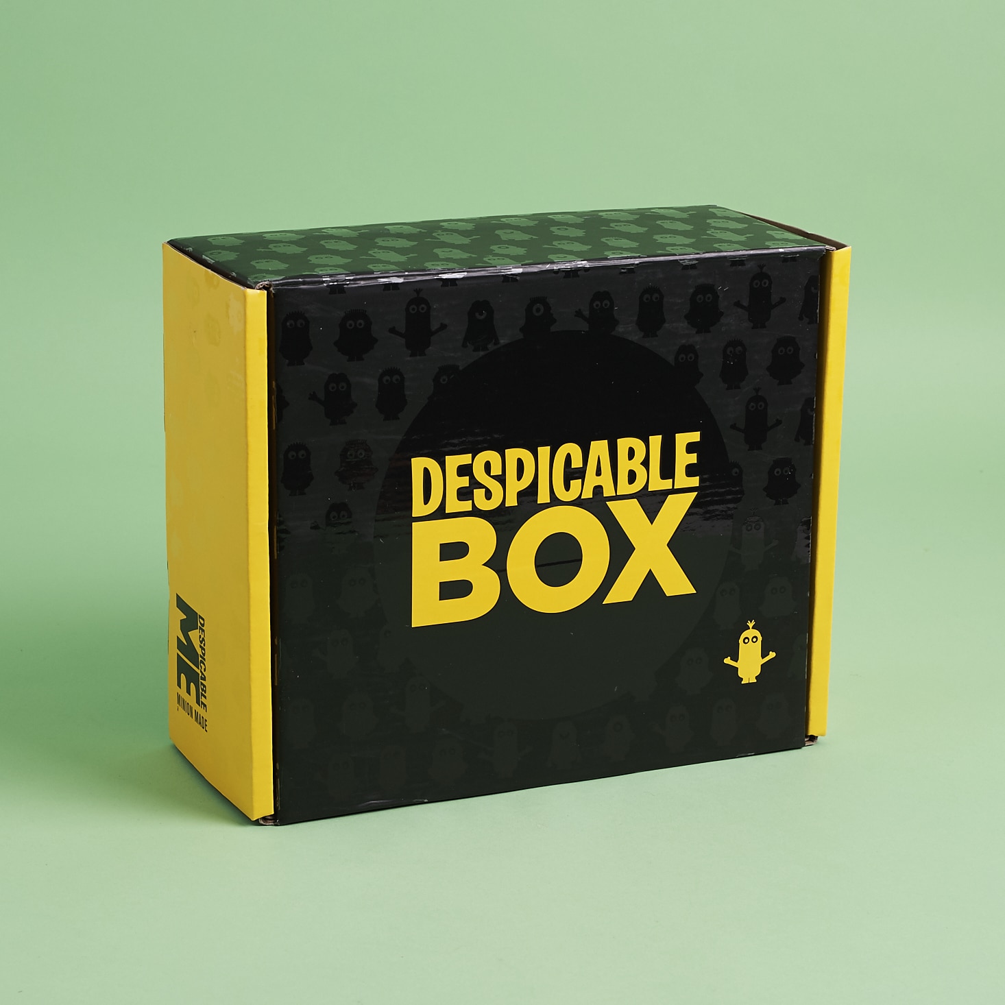 Despicable Box Subscription Box Review + Coupon – Summer 2017