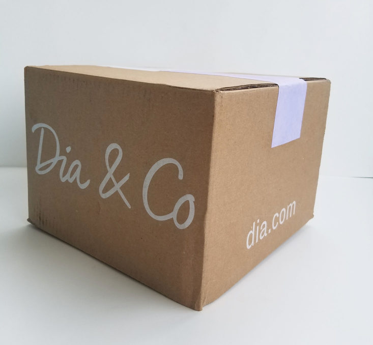 Dia and Co August 2017 Women's Plus Size Clothing Subscription Box