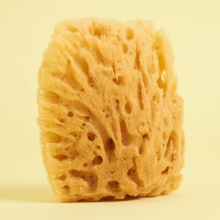Ecocentric Mom Review, Baby Bathtime Box August 2017 - Natural Sea Sponge