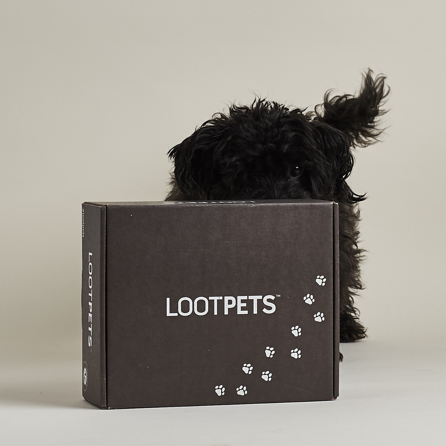 Loot Pets by Loot Crate Subscription Box Review + Coupon – July 2017