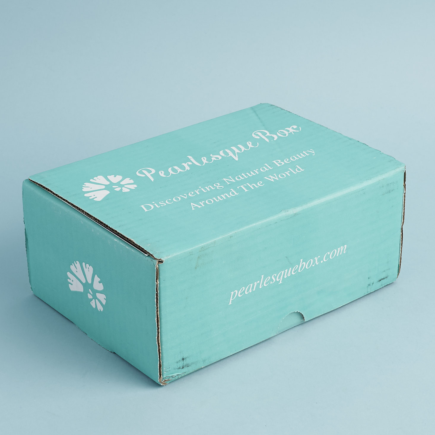 Pearlesque Box Subscription Review + Coupon – August 2017