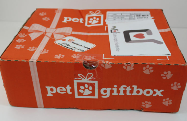 Pet GiftBox Cat August 2017 Pet Subscription Box