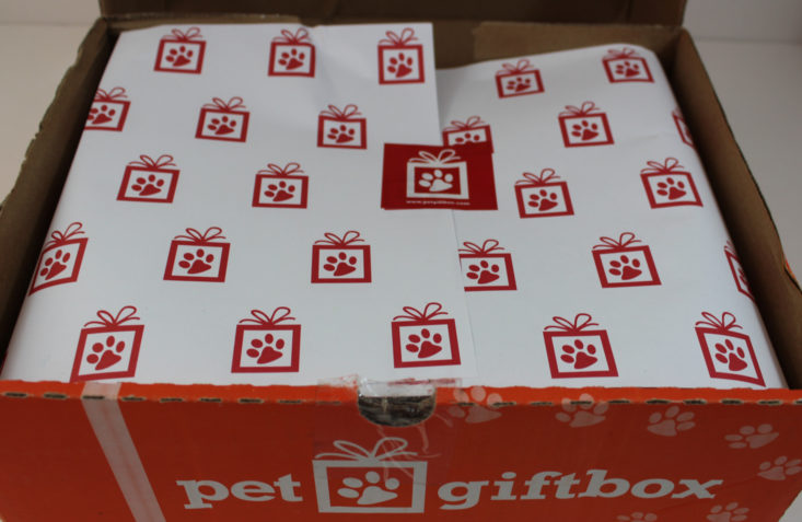 Pet GiftBox Cat August 2017 Pet Subscription Box
