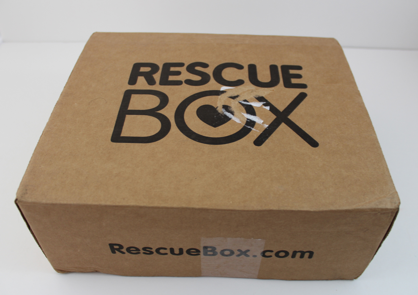 RescueBox Dog Subscription Box Review – August 2017