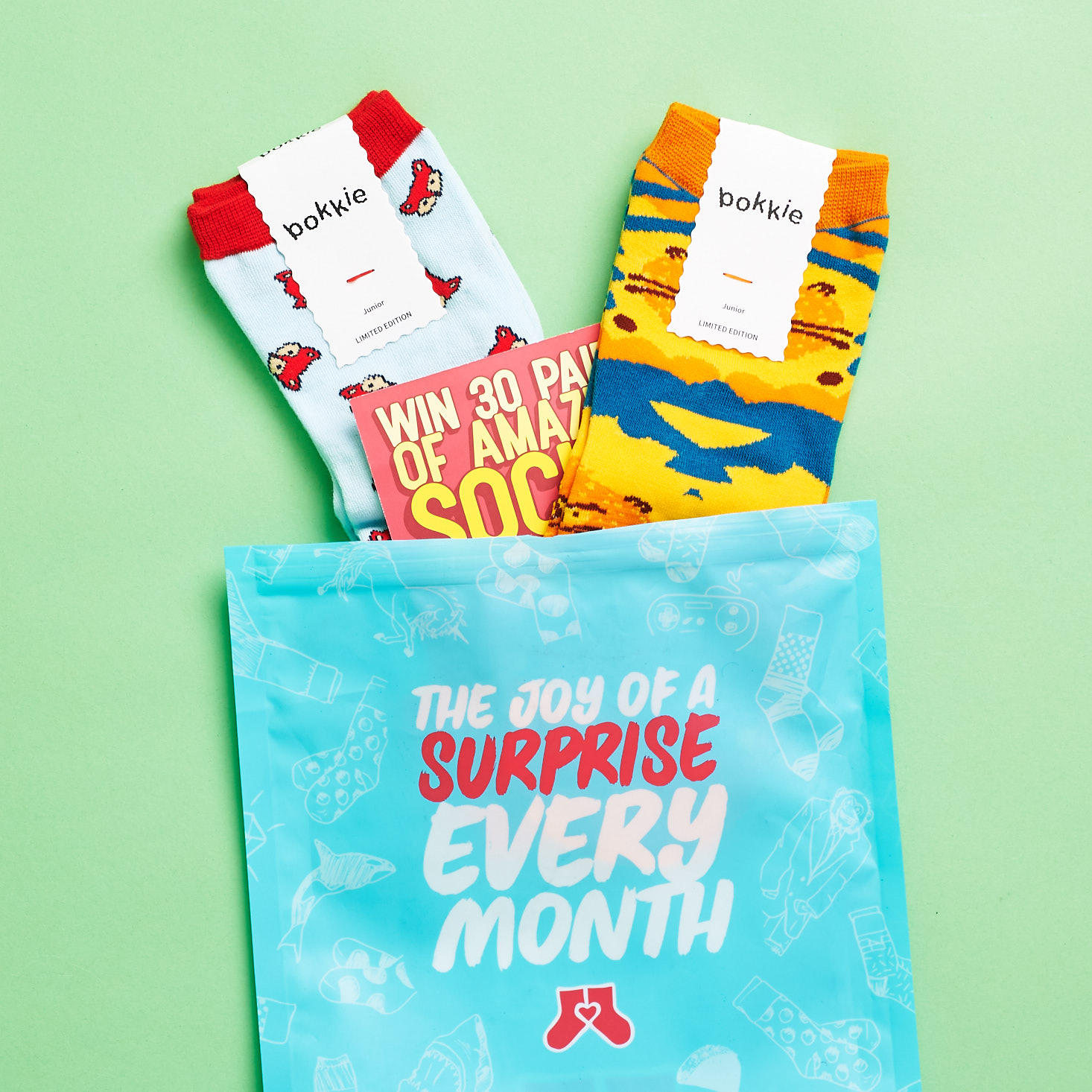 Say It With A Sock Subscription Juniors Review + Coupon – August 2017