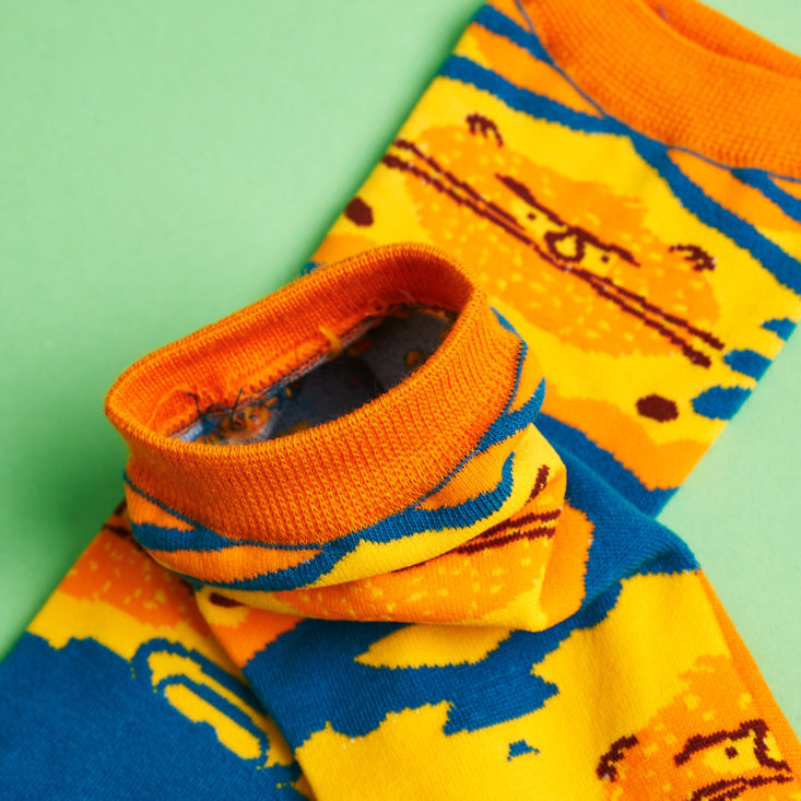 Say It With A Sock Juniors August 2017 - Orange Cat Socks