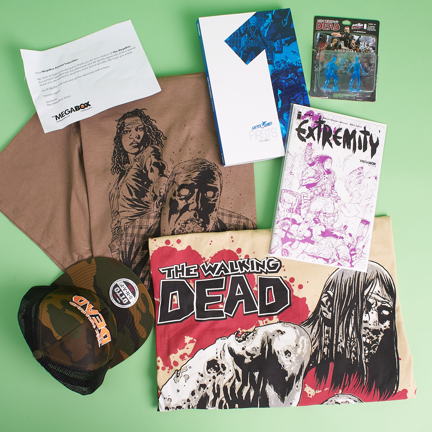 Skybound Megabox Annual Subscriber Bonus Box Review