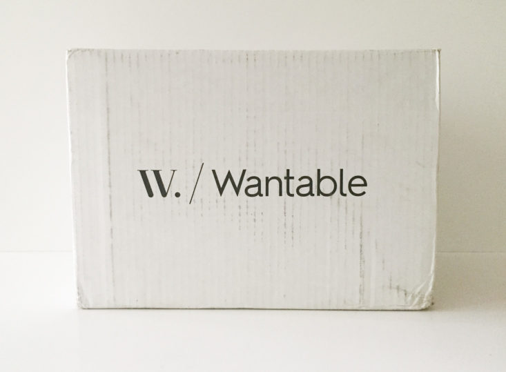 Wantable Plus Size Style Edit August 2017 Women's Clothing Subscription Box