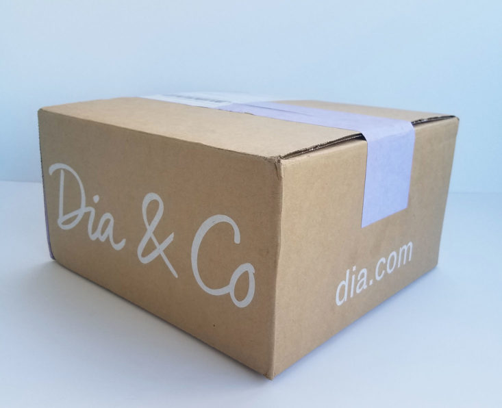 Dia and Co September 2017 Women's Plus Clothing Subscription Box